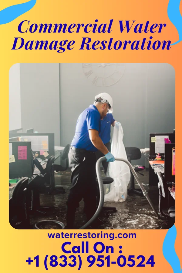 Commercial Water Damage Restoration in Frankfort Square, IL