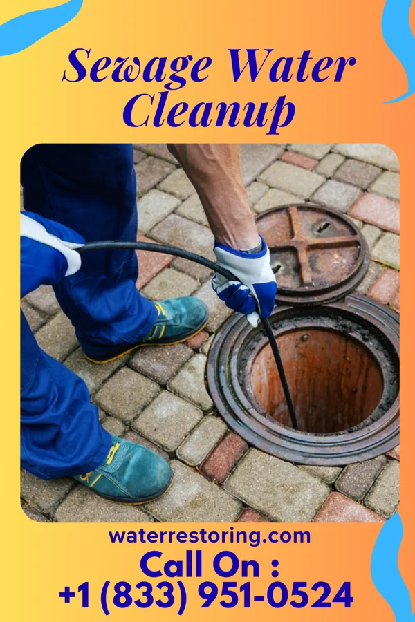 Sewage Water Cleanup in Frankfort Square, IL