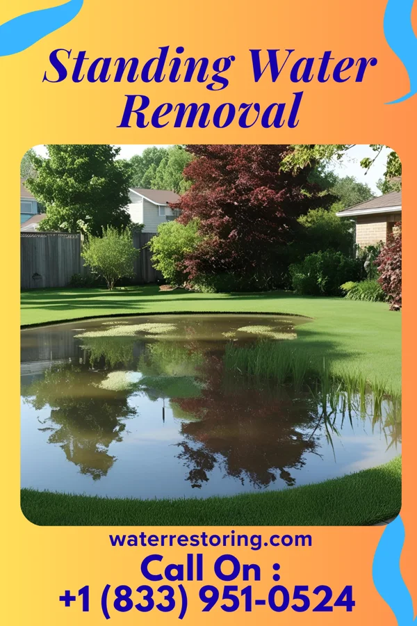 Standing Water Removal in Frankfort Square, IL